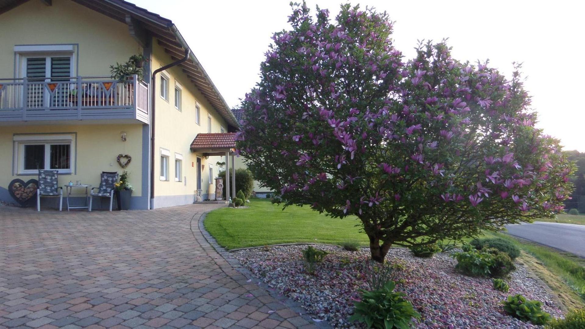 Fw & Fh Luesselfeld Appartement Zwiesel Buitenkant foto